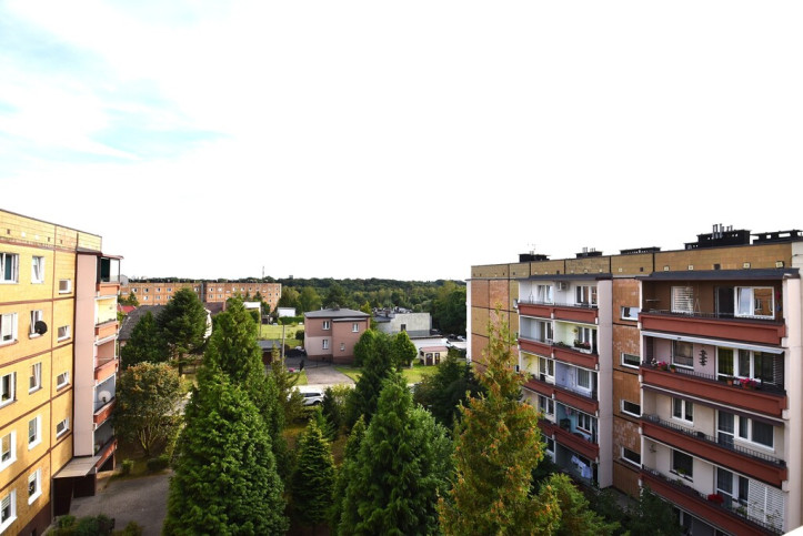 Mieszkanie Sprzedaż Jastrzębie-Zdrój Bogoczowiec 11